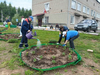 Субботник по благоустройству территории